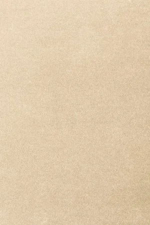 Ковровое покрытие AW Oinone 34 - (4м) в Сыктывкаре