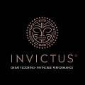 ПВХ плитка Invictus купить в Сыктывкаре по выгодной цене ПВХ плитка Invictus в Сыктывкаре