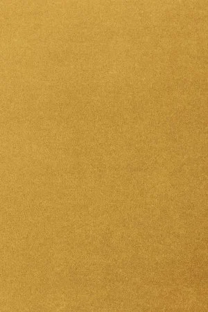 Ковровое покрытие AW Oinone 54 - (5м) в Сыктывкаре