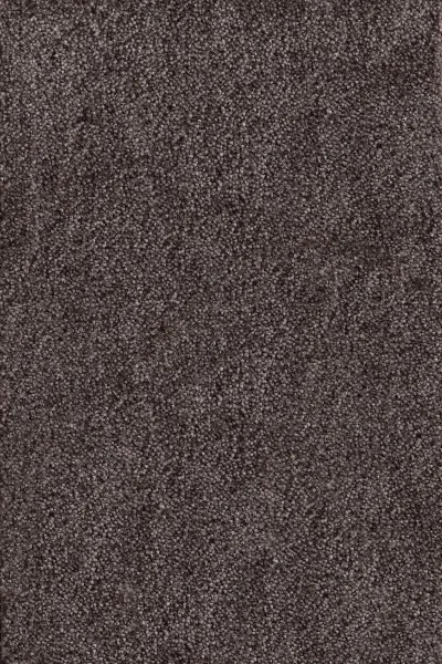 Ковровое покрытие AW Messalina 44 - (4м) в Сыктывкаре