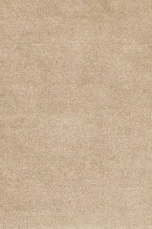 Ковровое покрытие AW Omphale 37 - (5м) в Сыктывкаре