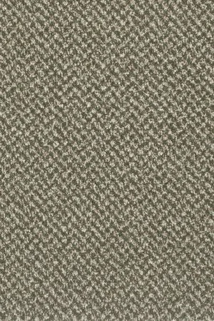 Ковровое покрытие AW Stainaway Tweed 24 - (4м) в Сыктывкаре
