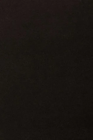 Ковровое покрытие AW Oinone 99 - (5м) в Сыктывкаре