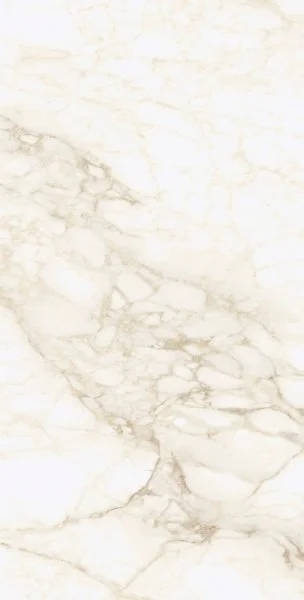 Керамогранит Coliseum Микеланджело Ворм 60х120 (Натуральный и Реттифицированный) в Сыктывкаре