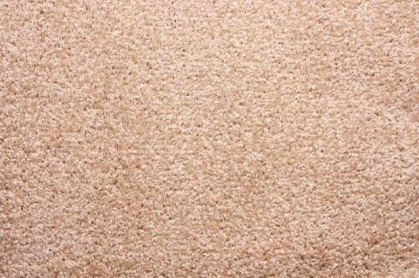 Ковровое покрытие Zartex Фортуна 004 кремовый - 3 м в Сыктывкаре