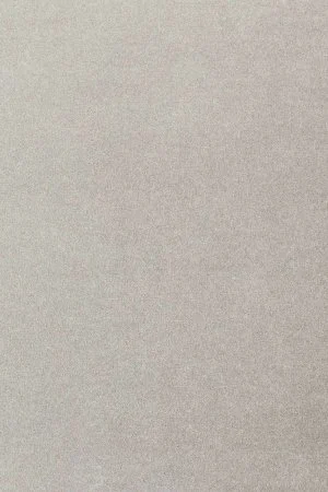 Ковровое покрытие AW Oinone 92 - (5м) в Сыктывкаре