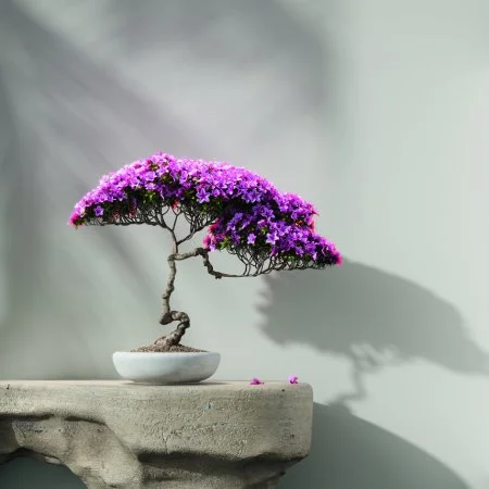 Обои Loymina Lotus LOT1 112 в Сыктывкаре