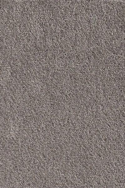 Ковровое покрытие AW Messalina 49 - (5м) в Сыктывкаре