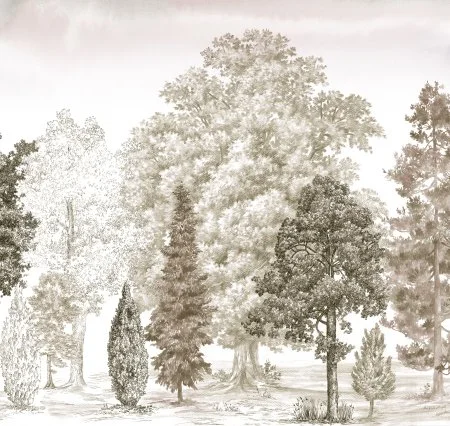 Обои Loymina Пейзаж vol. 2 ART14 012 в Сыктывкаре