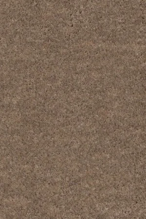 Ковровое покрытие AW Euphoria 36 - (4м) в Сыктывкаре