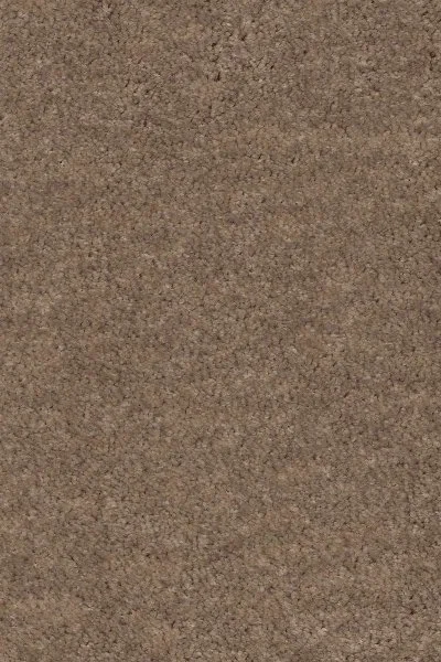 Ковровое покрытие AW Euphoria 36 - (4м) в Сыктывкаре