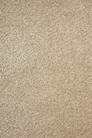 Ковровое покрытие AW Euphoria 33 - (4м) в Сыктывкаре