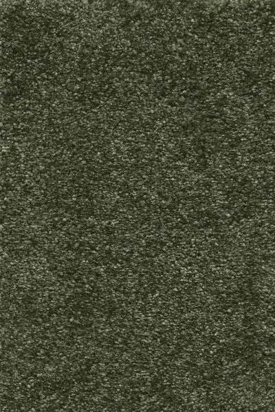 Ковровое покрытие AW Certosa 24 - (4м) в Сыктывкаре