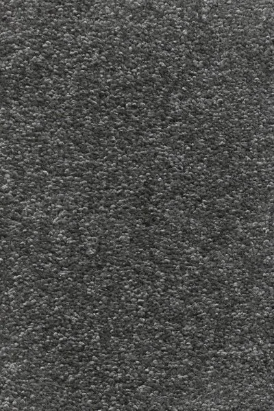 Ковровое покрытие AW Omnia 97 - (4м) в Сыктывкаре