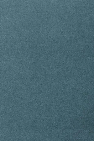 Ковровое покрытие AW Oinone 74 - (5м) в Сыктывкаре