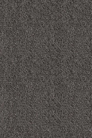 Ковровое покрытие AW Messalina 99 - (5м) в Сыктывкаре