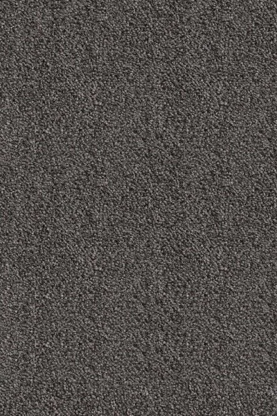 Ковровое покрытие AW Messalina 99 - (5м) в Сыктывкаре