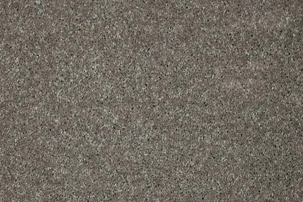 Ковровое покрытие AW Gala 94 - (5м) в Сыктывкаре