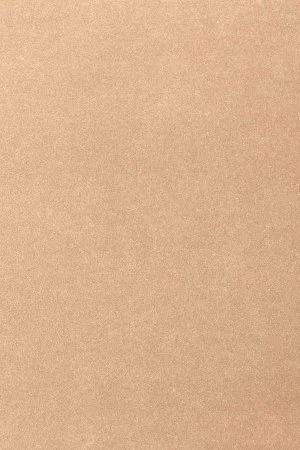 Ковровое покрытие AW Oinone 08 - (4м) в Сыктывкаре