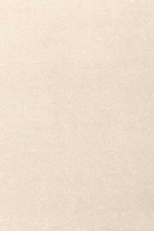 Ковровое покрытие AW Oinone 03 - (4м) в Сыктывкаре