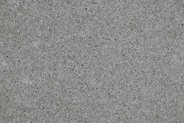 Ковровое покрытие AW Gala 90 - (4м) в Сыктывкаре