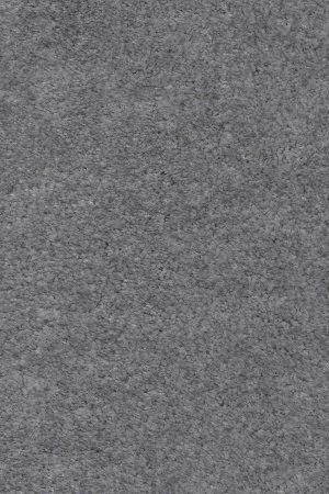 Ковровое покрытие AW Euphoria 95 - (4м) в Сыктывкаре