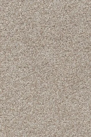 Ковровое покрытие AW Stainguard Harvest 04 - (4м) в Сыктывкаре