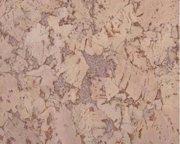 Настенное пробковое покрытие CorkArt PW 324 NK в Сыктывкаре