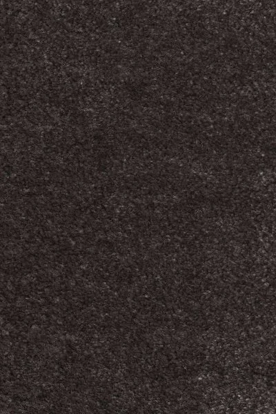 Ковровое покрытие AW Euphoria 43 - (4м) в Сыктывкаре