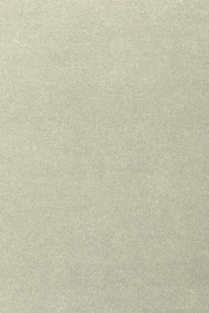 Ковровое покрытие AW Oinone 02 - (4м) в Сыктывкаре