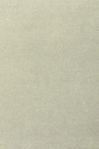 Ковровое покрытие AW Oinone 02 - (4м) в Сыктывкаре