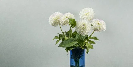 Обои Loymina Shade vol.2 SDR5, 001 в Сыктывкаре