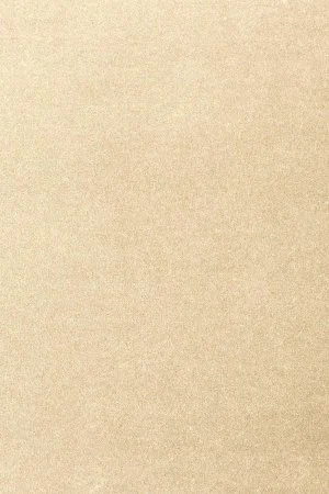 Ковровое покрытие AW Oinone 33 - (4м) в Сыктывкаре