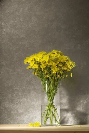 Обои Loymina Golden Library TDG 7, 008 в Сыктывкаре