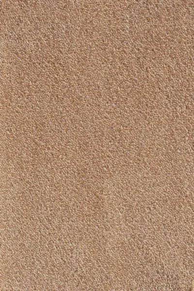 Ковровое покрытие AW Messalina 38 - (5м) в Сыктывкаре