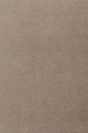 Ковровое покрытие AW Oinone 49 - (5м) в Сыктывкаре