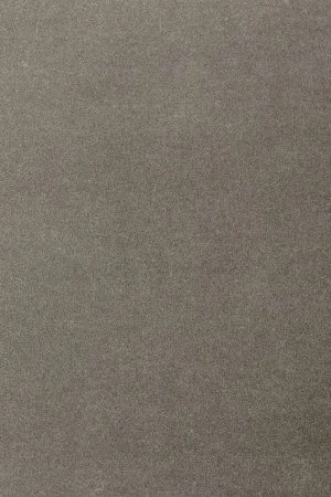 Ковровое покрытие AW Oinone 95 - (4м) в Сыктывкаре