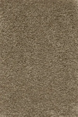 Ковровое покрытие AW Certosa 35 - (4м) в Сыктывкаре