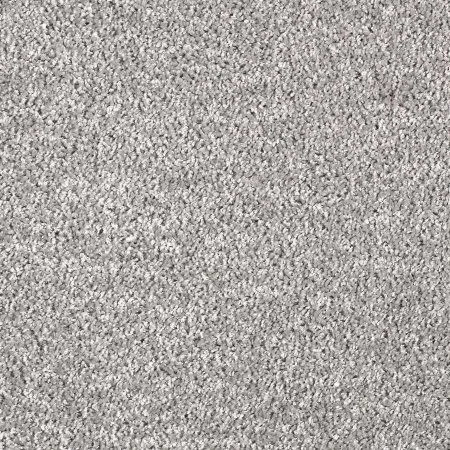 Ковровое покрытие AW Kiama 97 - (5м) в Сыктывкаре