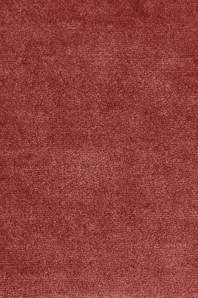 Ковровое покрытие AW Omphale 10 - (5м) в Сыктывкаре