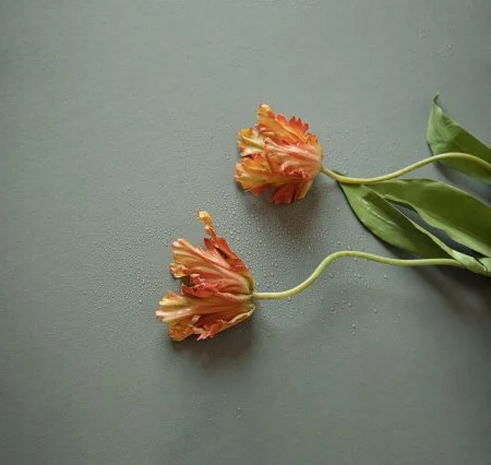 Обои Loymina Russian Classic Ru10, 006 в Сыктывкаре