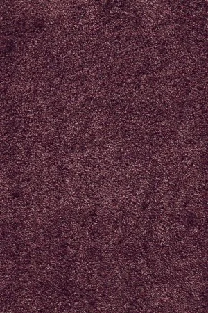 Ковровое покрытие AW Fedone 19 - (5м) в Сыктывкаре