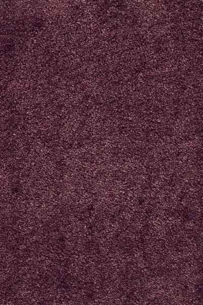 Ковровое покрытие AW Fedone 19 - (5м) в Сыктывкаре