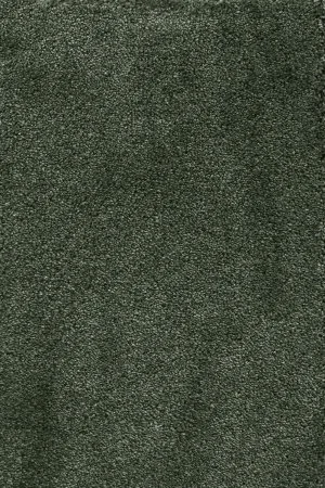 Ковровое покрытие AW Fedone 24 - (5м) в Сыктывкаре