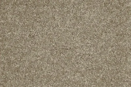 Ковровое покрытие AW Gala 33 - (5м) в Сыктывкаре