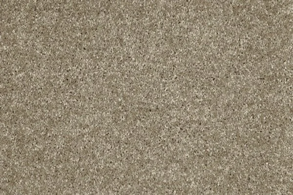 Ковровое покрытие AW Gala 33 - (4м) в Сыктывкаре