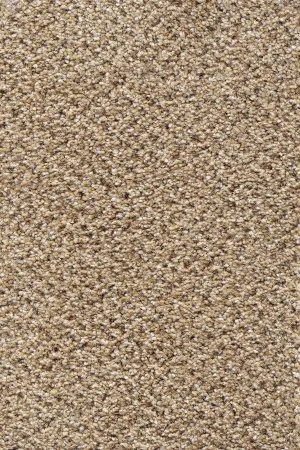 Ковровое покрытие AW Stainaway Tweed 50 - (4м) в Сыктывкаре
