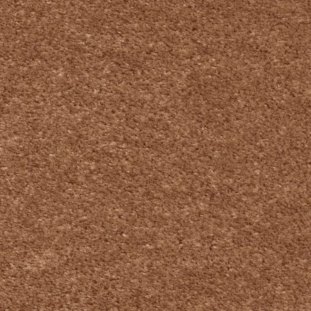 Ковровое покрытие AW Euphoria 84 - (5м) в Сыктывкаре