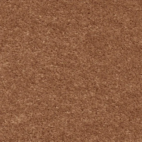 Ковровое покрытие AW Euphoria 84 - (5м) в Сыктывкаре