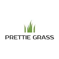 Искусственная трава Prettie Grass в Сыктывкаре
